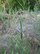 IMG_2367