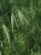 IMG_9428