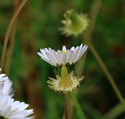 IMG_6825