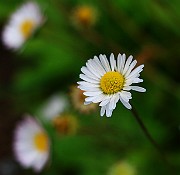 IMG_6827