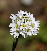 IMG_1973