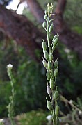 IMG_3363