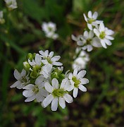 IMG_3364
