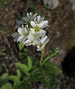IMG_7340