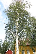 IMG_7112