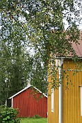 IMG_7113