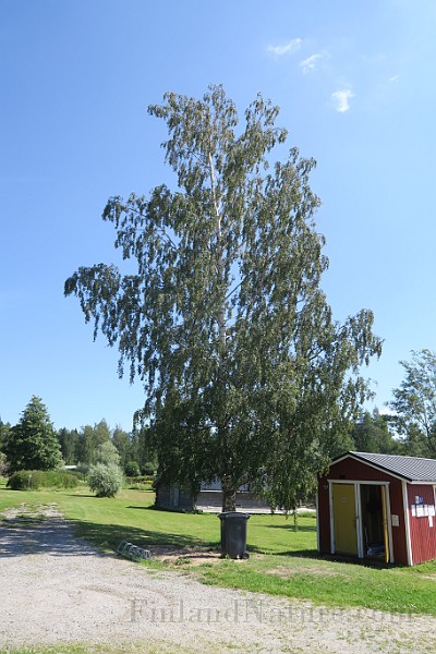 IMG_0074.JPG