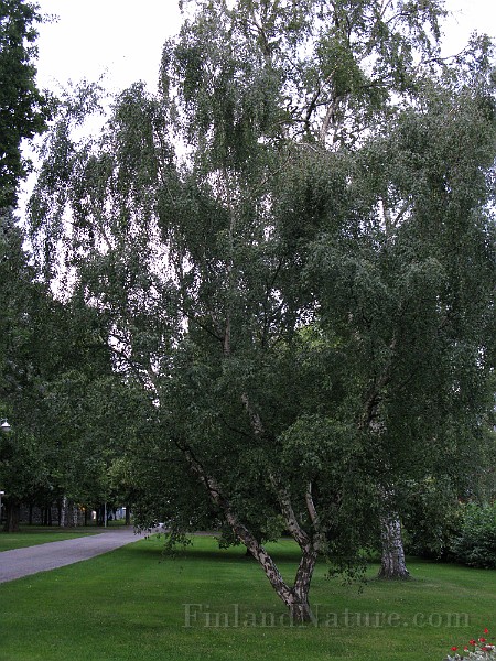 IMG_3067.jpg