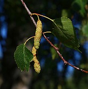 20200808_172731