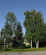 IMG_3702