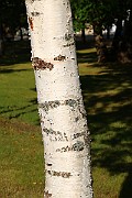 IMG_7032