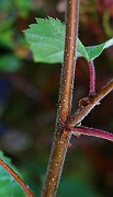 IMG_7137