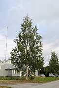 IMG_7150