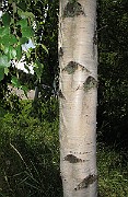 IMG_8719