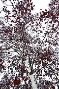 IMG_6792