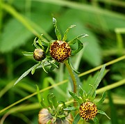 IMG_1893