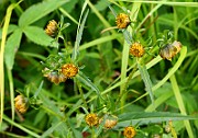 IMG_1897