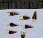 IMG_5905