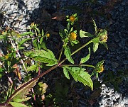 IMG_9860