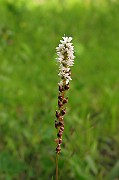 IMG_6499