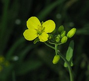 IMG_1922