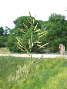 IMG_7406