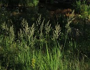 IMG_1311