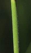 IMG_1315