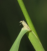 IMG_1316