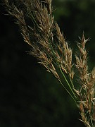 IMG_3664