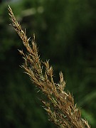 IMG_3665