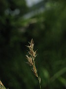 IMG_3666