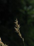 IMG_3667