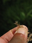 IMG_3668