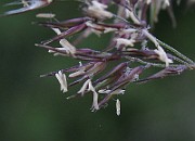 IMG_5308