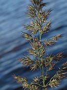 IMG_8238