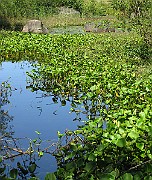 IMG_7683