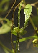 IMG_9444