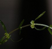 IMG_6197