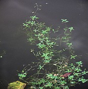 IMG_3703