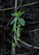 IMG_7516