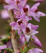 IMG_0549
