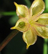 IMG_6906