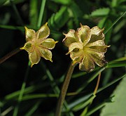 IMG_6907