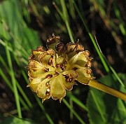IMG_7496