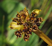 IMG_7498