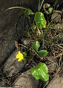IMG_8089