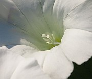 IMG_1793