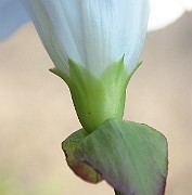 IMG_1804