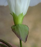 IMG_1806